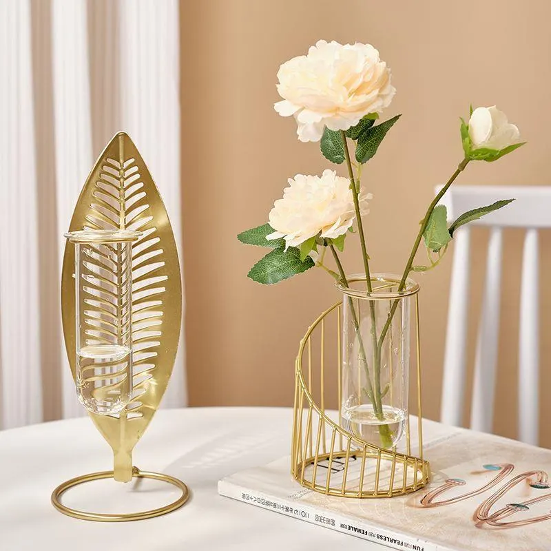 Modern minimalist glass vase for hydroponics or dried/artificial flower arrangements—a stylish decorative piece for living rooms and tabletops.